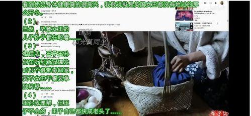 李子柒最新评价外网爆料,田园生活新风尚，网友热议不已  第1张